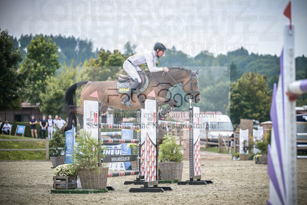 DOS_2606 | Entdecke hochwertige Reitturnierfotos von Foto Oger. Professionell, emotional und authentisch – jetzt Lieblingsmomente im Shop bestellen.Deutschlandweite Turnierfotografie. - Realisiert mit Pictrs.com