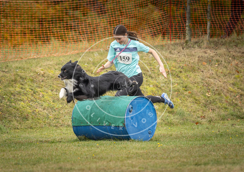 Pfotenfotografie_DV3A5355 | Hundefotografie, Tierfotograf, Pfotenfotografie, Fotoshooting Hund, Hunde Portrait, Hundesport, Hundeportraits, Heideshooting, Hunde, Sportfotograf, Hundefotograf, Turnierhundsport, THS,  - Realisiert mit Pictrs.com