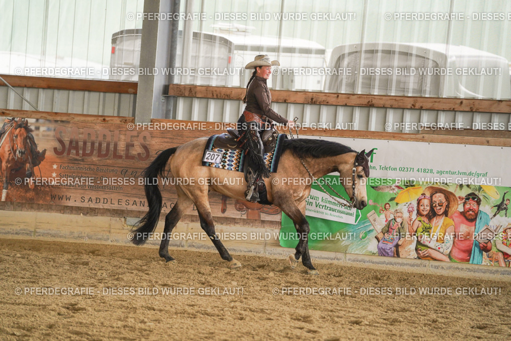 DSC08002 | Pferdegrafie