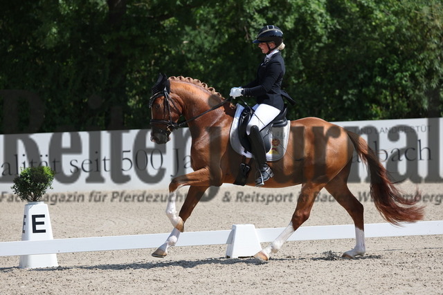 Weilheim_2025_Prfg.Nr.26_Pony-Reitpferdeprüfung_Michele Schulmerig_Next Dancer C (11) | Alle Fotos der Reiterjournal Fotografin Doris Matthaes im Reiterjournal Online-Fotoshop. - Realisiert mit Pictrs.com
