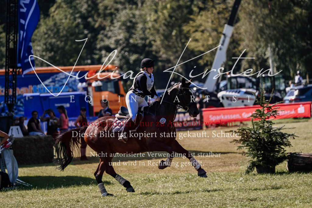 DSC_1845 | Pferde- und Turnierfotografie in Westsachsen. Pferdeportraits, Auftragszeichnungen und intuitive Kunst.