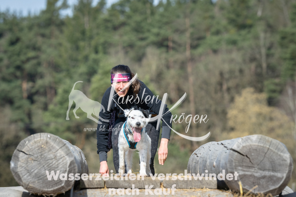 0953_ZZ96982 | kk-dogfotos