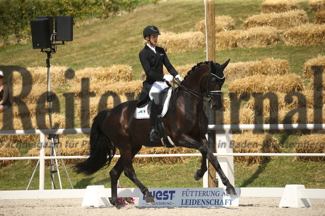 Birkhof_2022_Nr.12_St.GeorgSpecial_Moritz Treffinger_Francis Royal 4 (12) | Alle Fotos der Reiterjournal Fotografin Doris Matthaes im Reiterjournal Online-Fotoshop. - Realisiert mit Pictrs.com