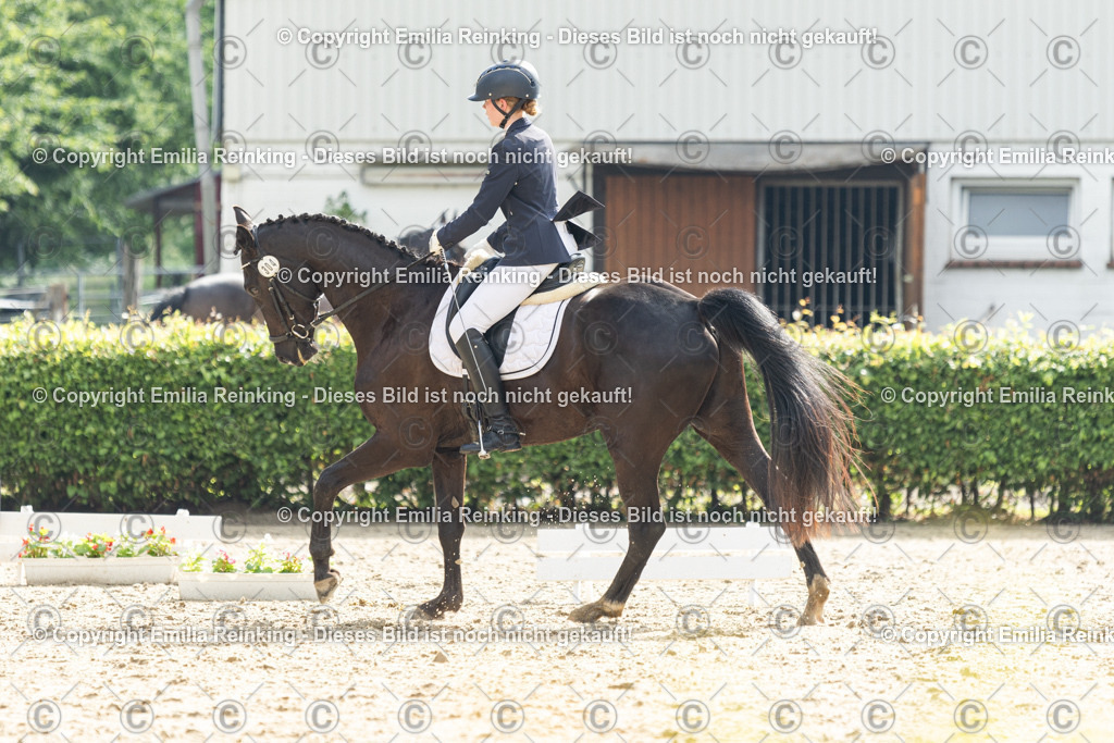 CL5A4442 | Emilia Reinking Fotografie - Realisiert mit Pictrs.com