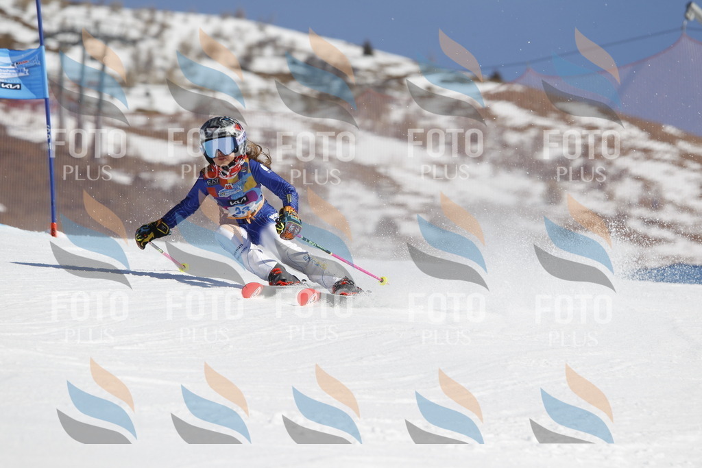 _U3G9091 | holidayphoto