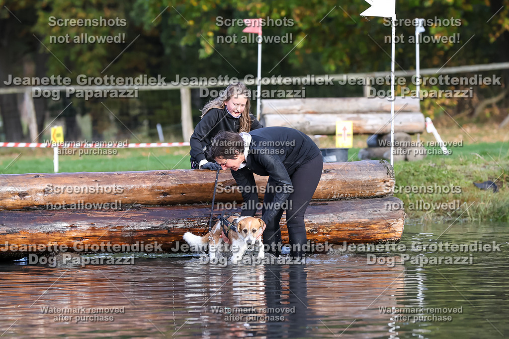 Dog Paparazzi - Strongdog 10-25-8295 | Dog Paparazzi Jeanette Grottendiek Fotografie & Videografie - Realisiert mit Pictrs.com