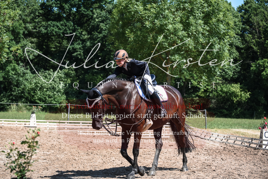 DSC_2843 | Pferde- und Turnierfotografie in Westsachsen. Pferdeportraits, Auftragszeichnungen und intuitive Kunst.