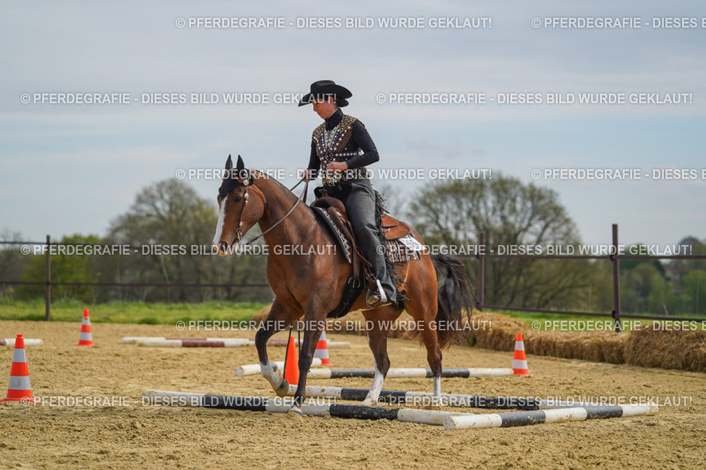 DSC03948 | Pferdegrafie