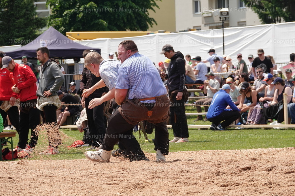 DSC04562 | Schwingen - Realisiert mit Pictrs.com