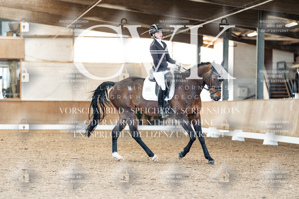 CK909295 | Turnierfotografie Pferdefotografie Trier Rheinland-Pfalz Pferdesport Reitsport Tierfotografie Sportfotografie Pferdevideo Pferdevideografie Equestrianvideography equestrianphotography  - Realisiert mit Pictrs.com