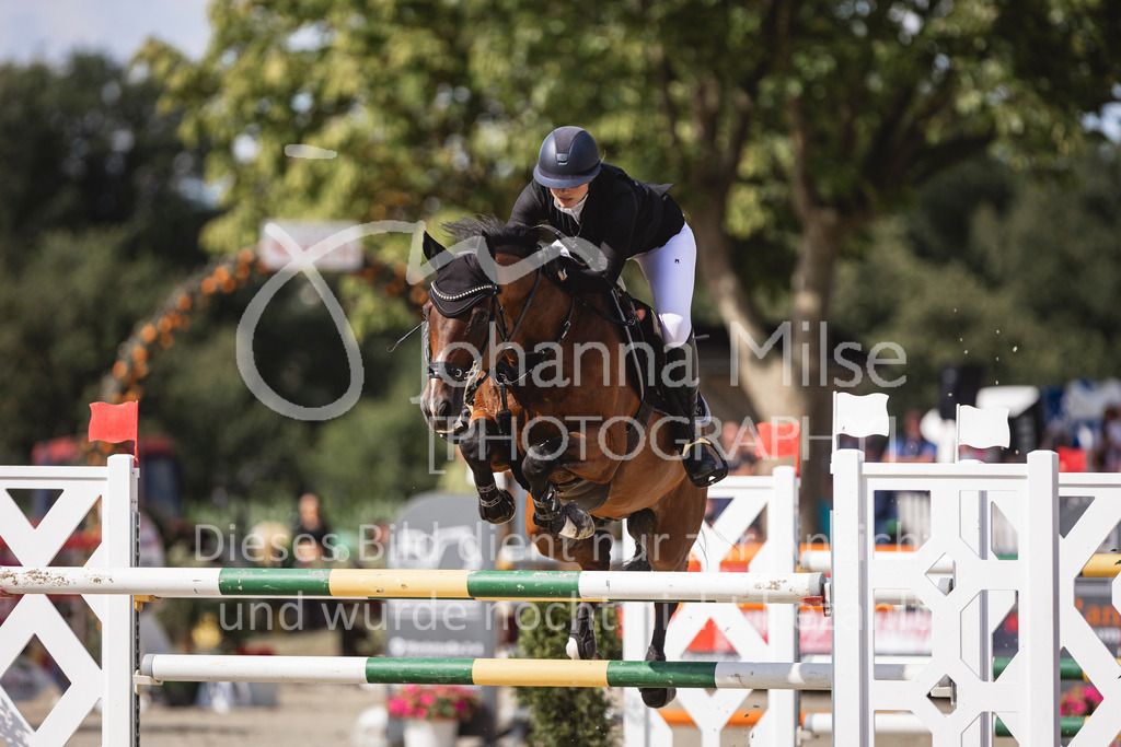 240714_BHO_GroßerPreis-601 | Deine schönsten Turniermomente als professionelle Fotos! Entdecke hochwertige Pferdesport-Fotografie im Online-Shop. Jetzt Fotos finden & bestellen!