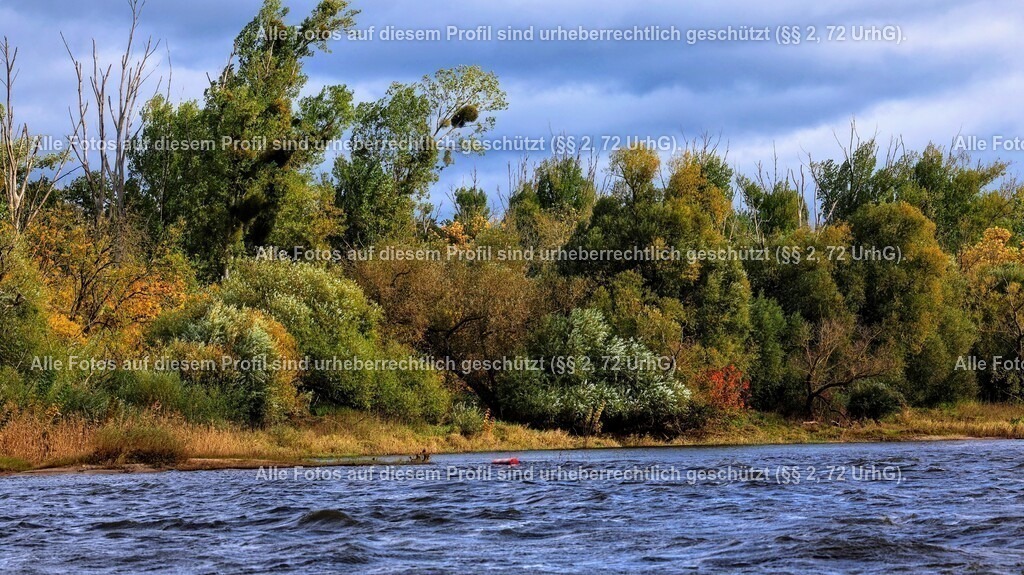 1P5A1532_2 | krollfotografie - Realisiert mit Pictrs.com