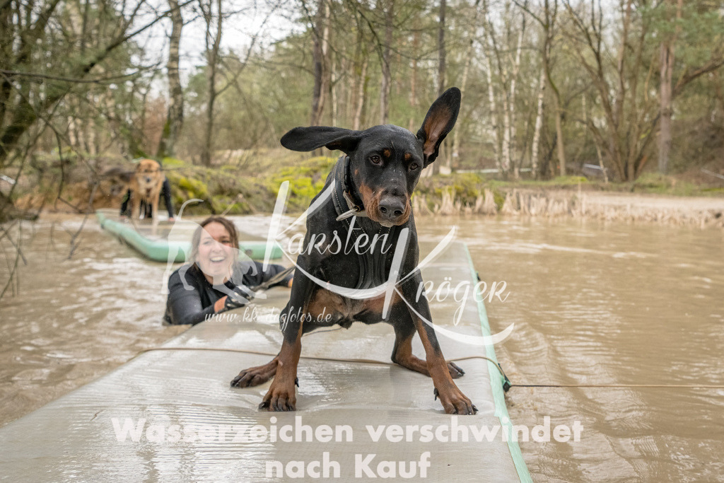 1331_ZZ90851-Bearbeitet | kk-dogfotos