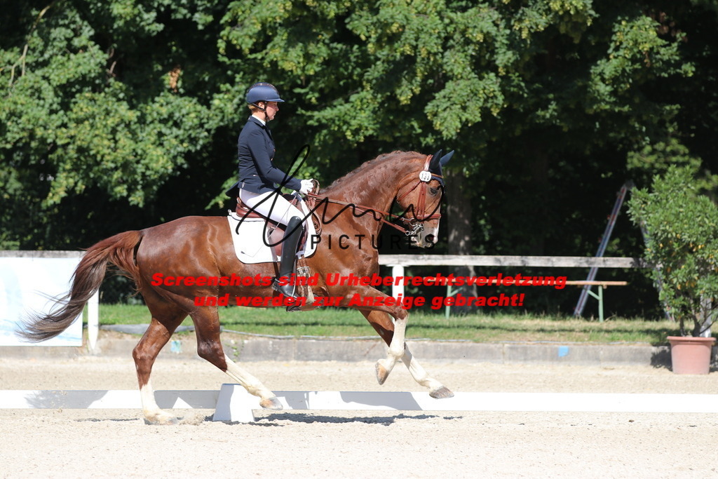 IMG_5414 | lmwpictures - Realisiert mit Pictrs.com