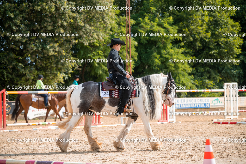 ZS2_7608 | dv-media-shop - Realisiert mit Pictrs.com