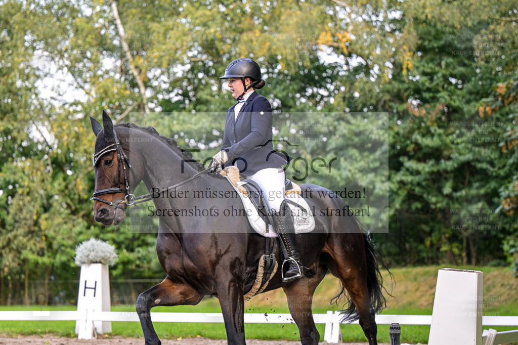 FOTO OGER | Entdecke hochwertige Reitturnierfotos von Foto Oger. Professionell, emotional und authentisch – jetzt Lieblingsmomente im Shop bestellen. - Realisiert mit Pictrs.com