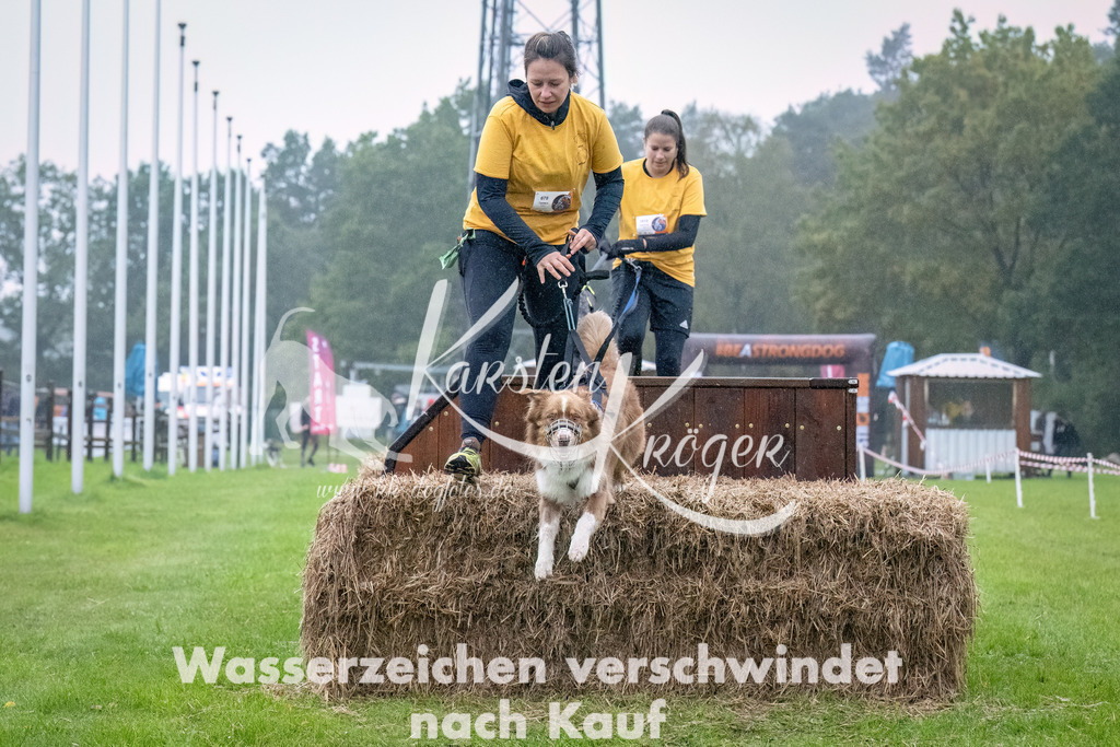 0908-_ZZ93300-Bearbeitet | kk-dogfotos