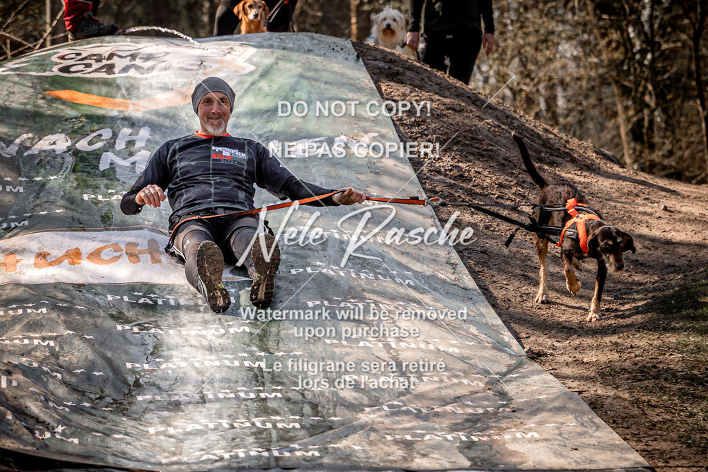 nelerasche_Hulsbeek_So1300-1330_168 | nelerasche