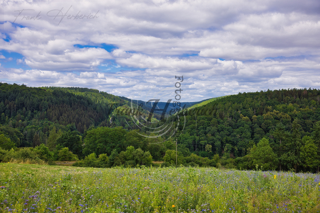 2022_07_10_4091 | Frank Herberich Fotografie, Frank Herberich, Fotografie, Hochzeit, Portrait, St. Peter Ording, Ording, Westerhever, Nordsee, Frank Fotografie, Hardheim,  Odenwald,Walldürn, Band,Eventfotografie - Realisiert mit Pictrs.com