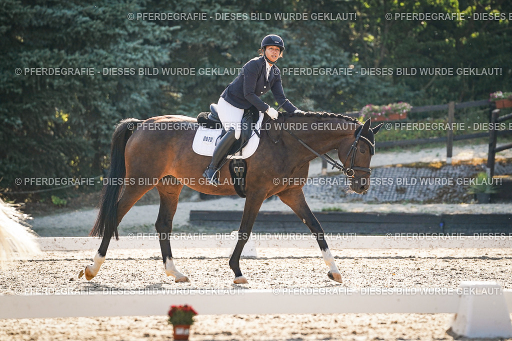 DSC08600 | Pferdegrafie