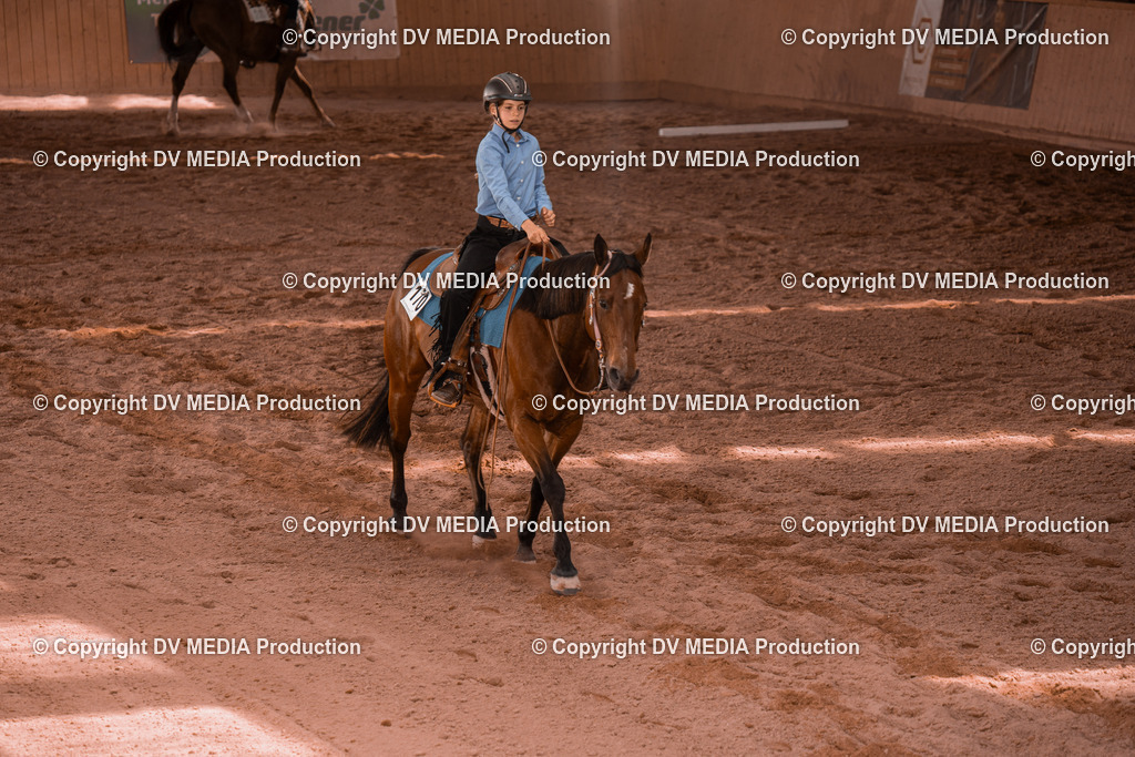 NE300365 | dv-media-shop - Realisiert mit Pictrs.com