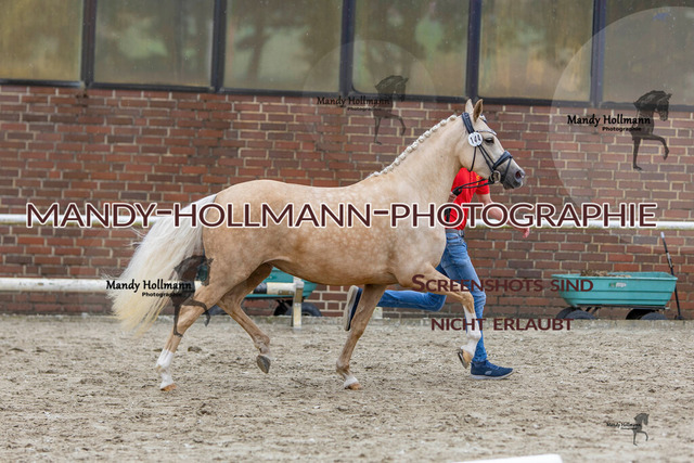 0P2A1563 | mandyhollmannphotographie