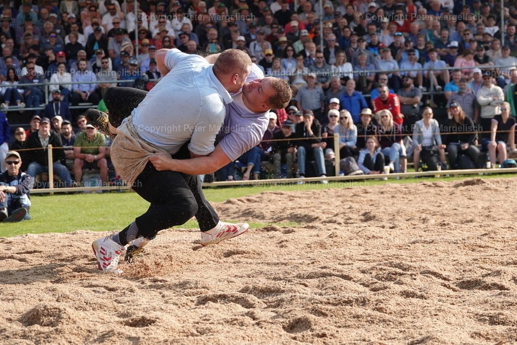 DSC04476 | Schwingen - Realisiert mit Pictrs.com