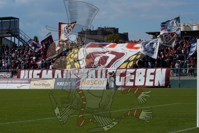 BFC Dynamo vs. FSV Zwickau 006 | mythos-online-redaktion