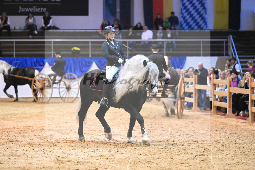 Schauprogramm_54222486 | hf-fotografie - Realisiert mit Pictrs.com