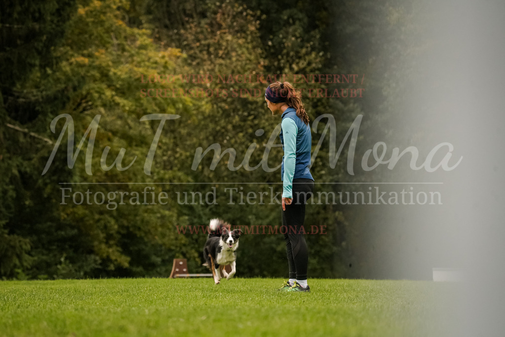 20251005_THS_Turnier-553 | MuT (Mensch und Tier) mit Mona - Fotografie und Tierkommunikation - Realisiert mit Pictrs.com