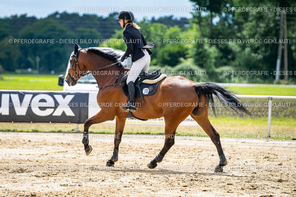 DSC05567 | Pferdegrafie