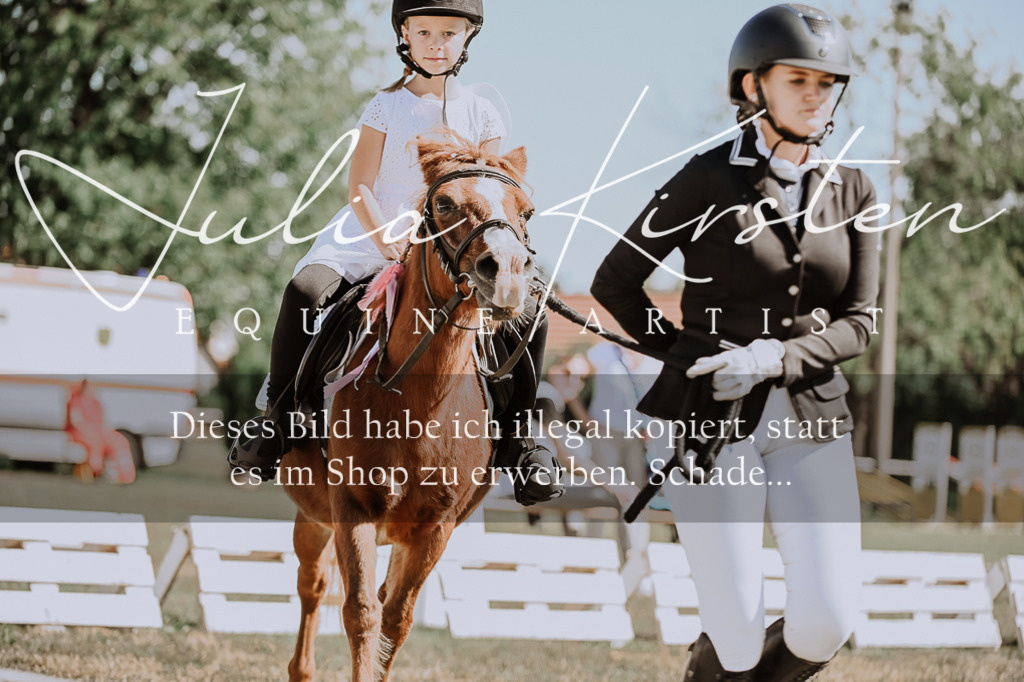 DSC_8876 | Pferde- und Turnierfotografie in Westsachsen. Pferdeportraits, Auftragszeichnungen und intuitive Kunst.