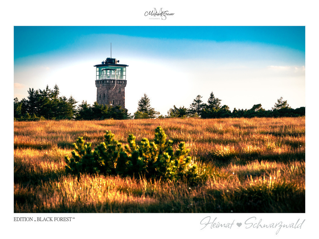 Edition "BLACK FOREST" | Motiv: Hochmoor mit Turm auf der Hornisgrinde. Die beliebtesten Fotografien aus dem Schwarzwald als signierte Sonderedition. Eine exklusive Wanddekoration für alle Liebhaber von traumhaften Schwarzwaldlandschaften. Hochwertige Wandbilder in brillanter Druckqualität auf Acrylglas, Alu-Dibond und Leinwand für Ihr Zuhause – inklusive rückseitige Aufhängung.
 - Realisiert mit Pictrs.com