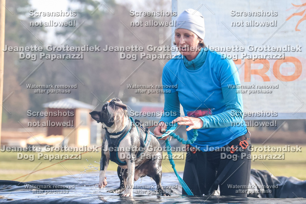 Dog Paparazzi - Strongdog North Mrz26-83 | Dog Paparazzi Jeanette Grottendiek Fotografie & Videografie - Realisiert mit Pictrs.com