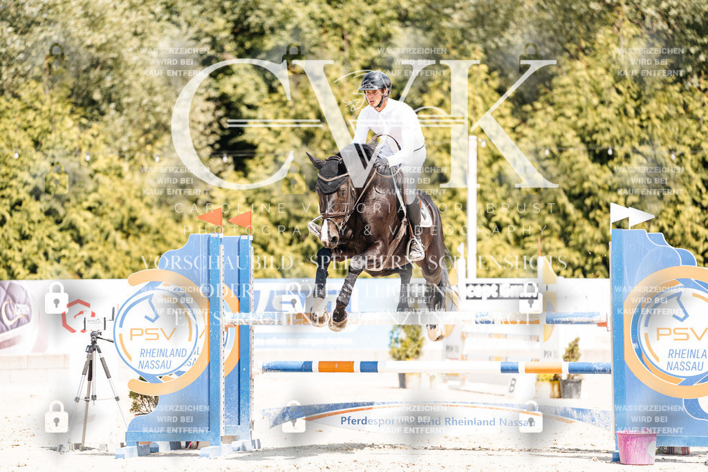 CK901073 | Turnierfotografie Pferdefotografie Trier Rheinland-Pfalz Pferdesport Reitsport Tierfotografie Sportfotografie Pferdevideo Pferdevideografie Equestrianvideography equestrianphotography  - Realisiert mit Pictrs.com