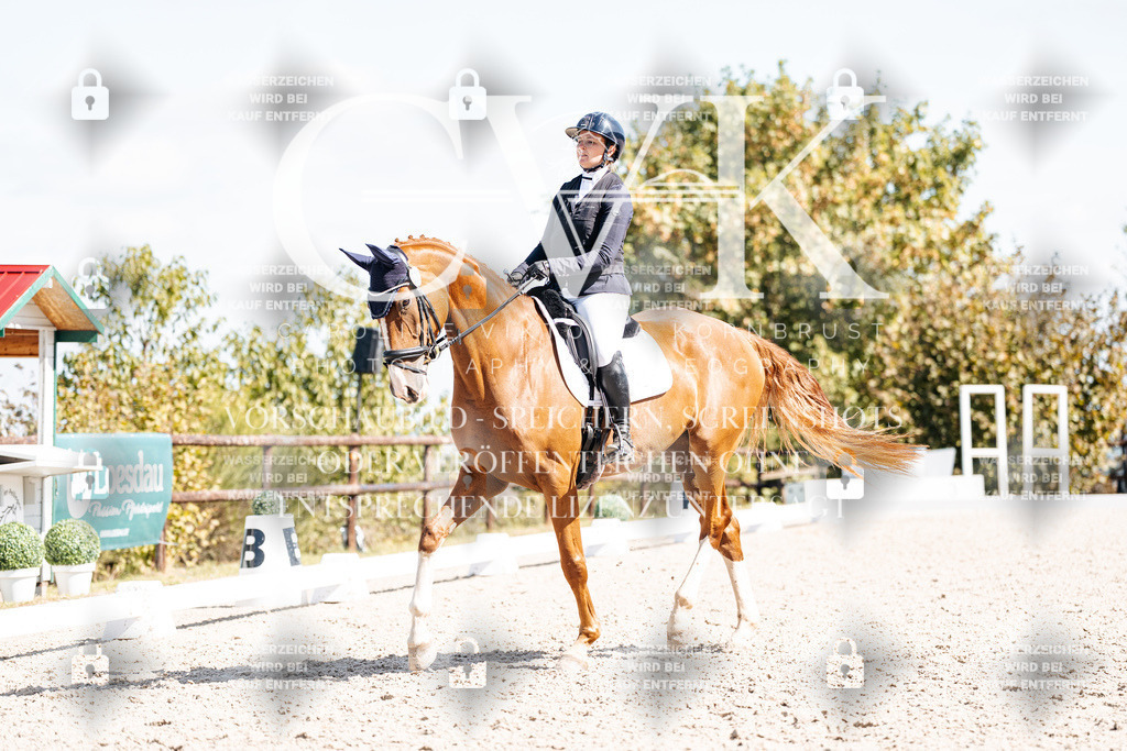 CK903152 | Turnierfotografie Pferdefotografie Trier Rheinland-Pfalz Pferdesport Reitsport Tierfotografie Sportfotografie Pferdevideo Pferdevideografie Equestrianvideography equestrianphotography  - Realisiert mit Pictrs.com