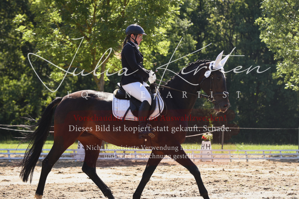 DSC_0403 | Pferde- und Turnierfotografie in Westsachsen. Pferdeportraits, Auftragszeichnungen und intuitive Kunst.