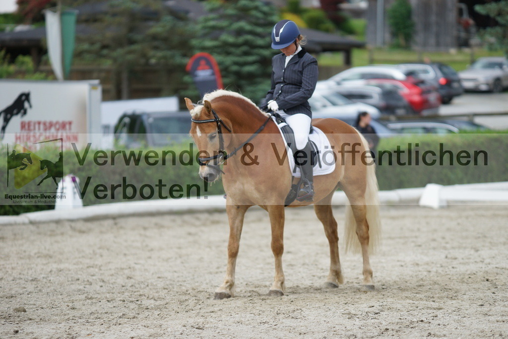 DSC05434 | equestrian-live-com