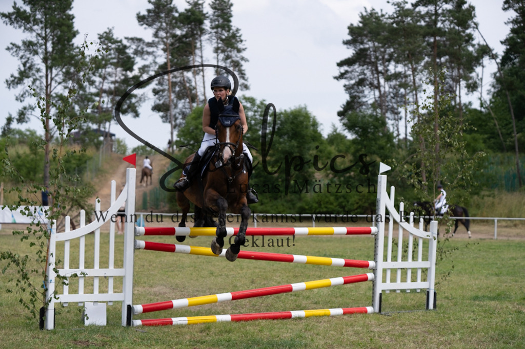 A7V07403 | Pferdefotograf