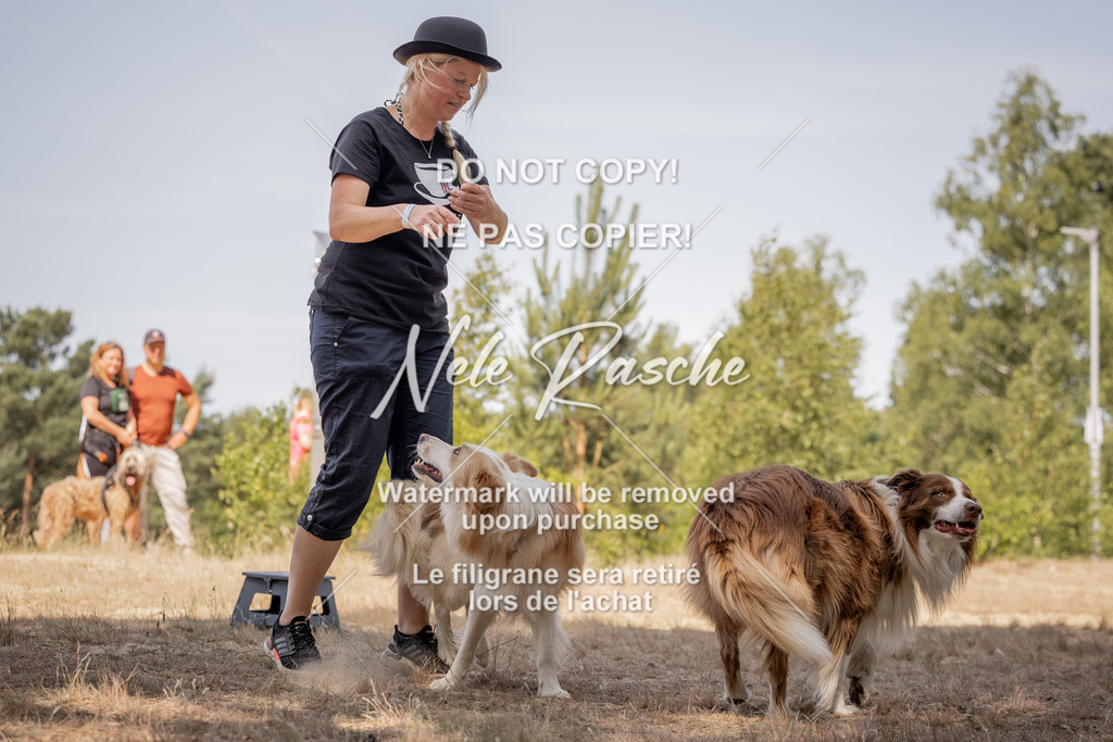 nelerasche_soDD2_166 | nelerasche