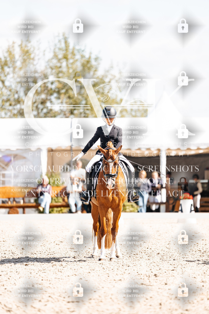 CK903026 | Turnierfotografie Pferdefotografie Trier Rheinland-Pfalz Pferdesport Reitsport Tierfotografie Sportfotografie Pferdevideo Pferdevideografie Equestrianvideography equestrianphotography  - Realisiert mit Pictrs.com