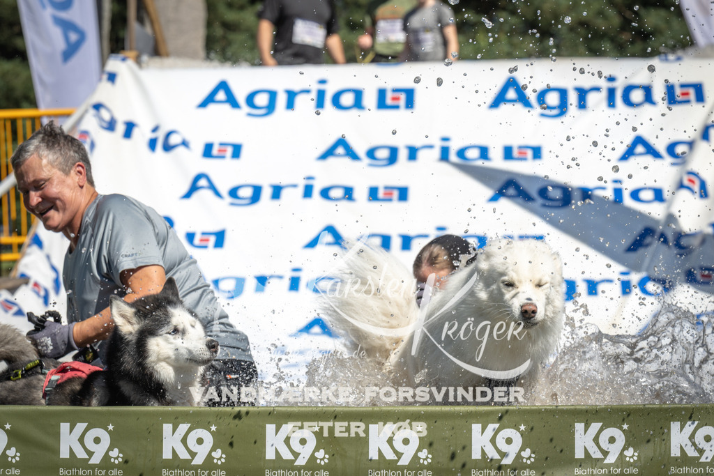 1316_ZZ99477 | kk-dogfotos