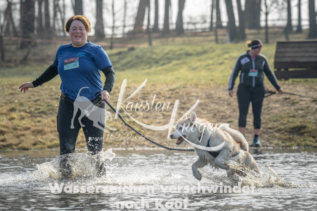 1041_ZZ99068 | kk-dogfotos