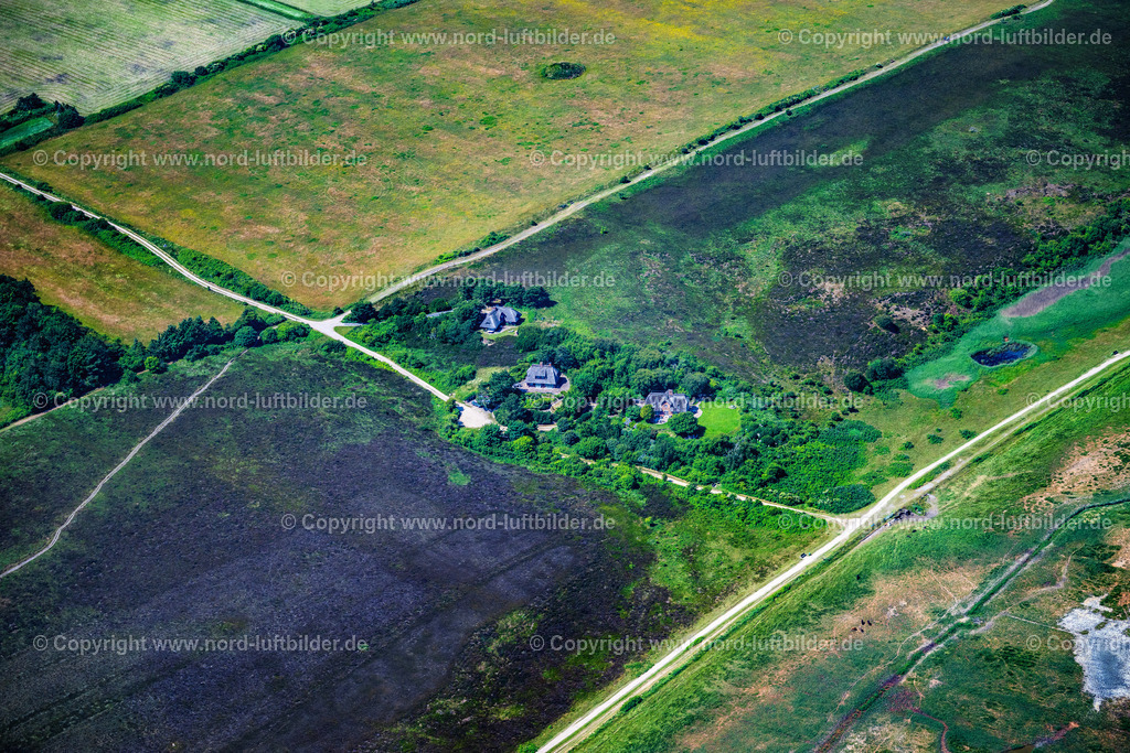 Sylt_Braderup_Er_Heide_Pück_Deel_ELS_1547210625 | WENNINGSTEDT-BRADERUP (SYLT) 21.06.2025 Küstenbereich der Nordsee - Insel in Wenningstedt-Braderup (Sylt) Braderupper Heide Landschaft im Bundesland Schleswig-Holstein. // Coastal area of a??a??the North Sea - island in Wenningstedt-Braderup (Sylt) Braderupper Heide landscape in the state of Schleswig-Holstein. Foto: Martin Elsen