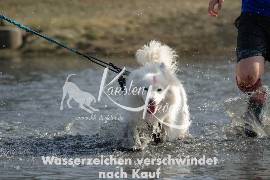 1255_ZZ92965 | kk-dogfotos