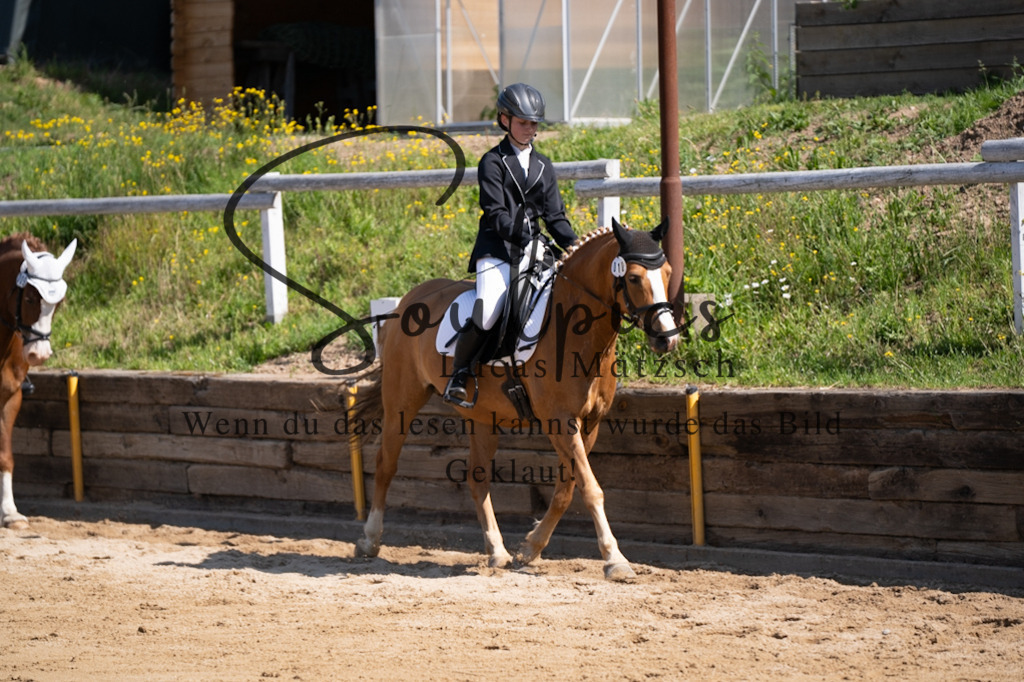 A7V07869 | Turnier/Reitfotograf