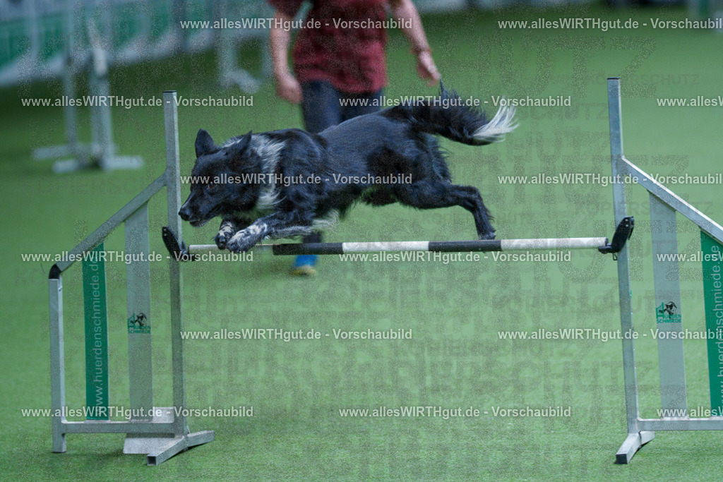 @allesWIRTHgut_Tierfotografie - www.allesWIRTHgut.de - 2604261239-7R501337 | Professionelle Tierfotografie in Mönchengladbach von Daniel Wirth (allesWIRTHgut). Liebevolle & natürliche Bilder von Hunden & Katzen für unvergessliche Erinnerungen.
