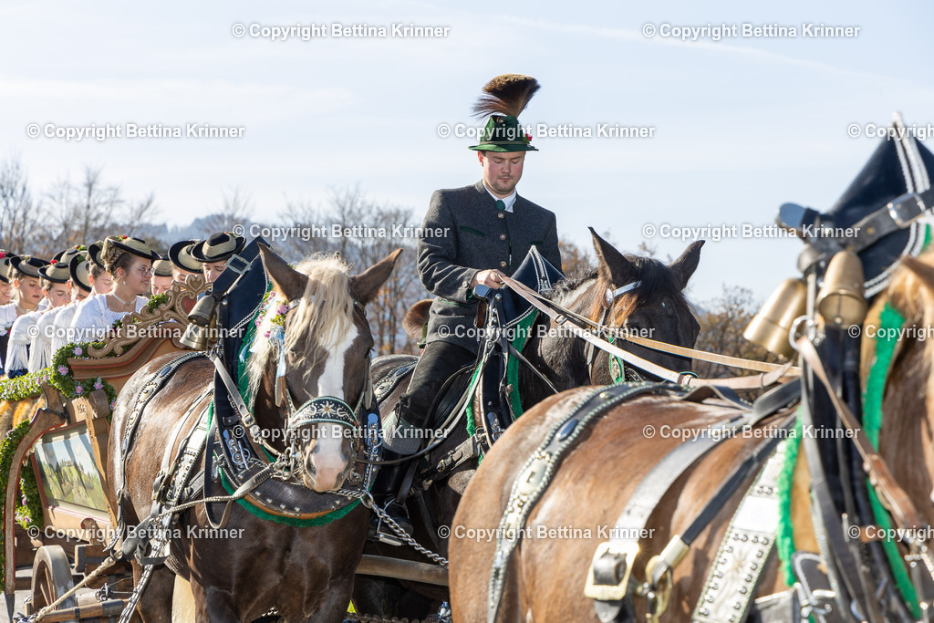 LBT24-1327 | foto-bettina-krinner - Realisiert mit Pictrs.com