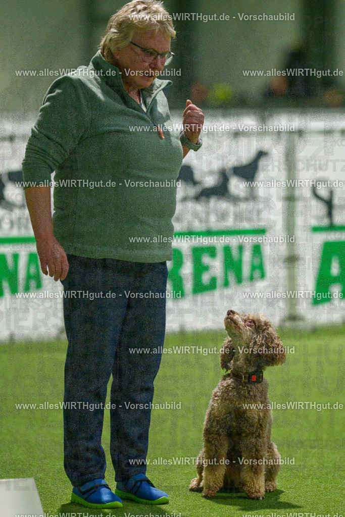 7R509157 | Professionelle Tierfotografie in Mönchengladbach von Daniel Wirth (allesWIRTHgut). Liebevolle & natürliche Bilder von Hunden & Katzen für unvergessliche Erinnerungen.
