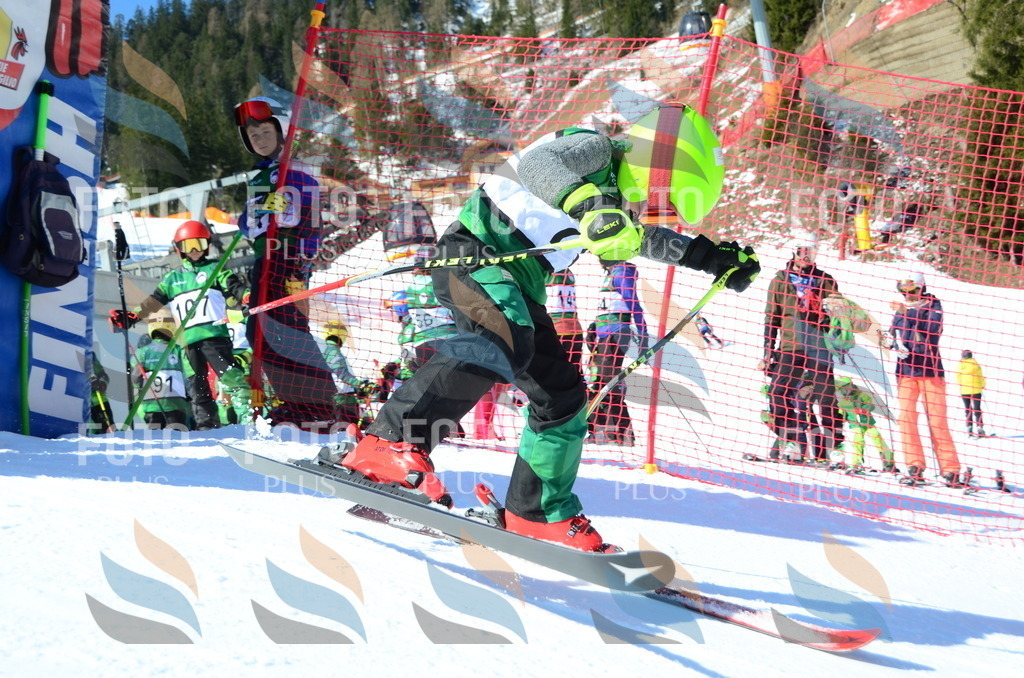 C5568 | holidayphoto